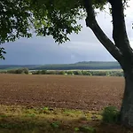 ötbárány * Bezered