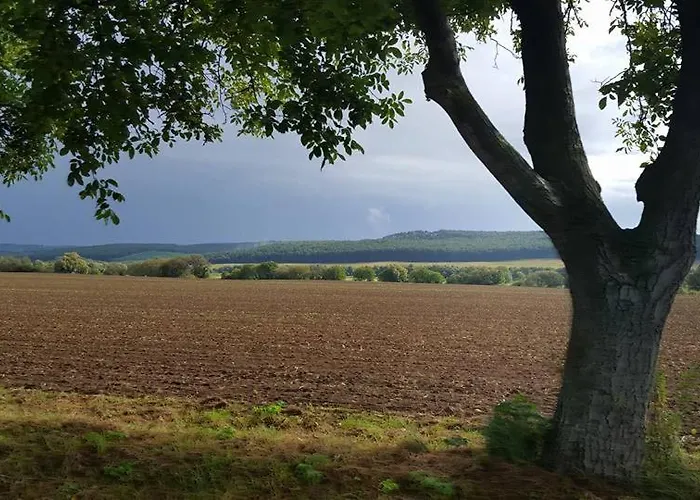 ötbárány * Bezered