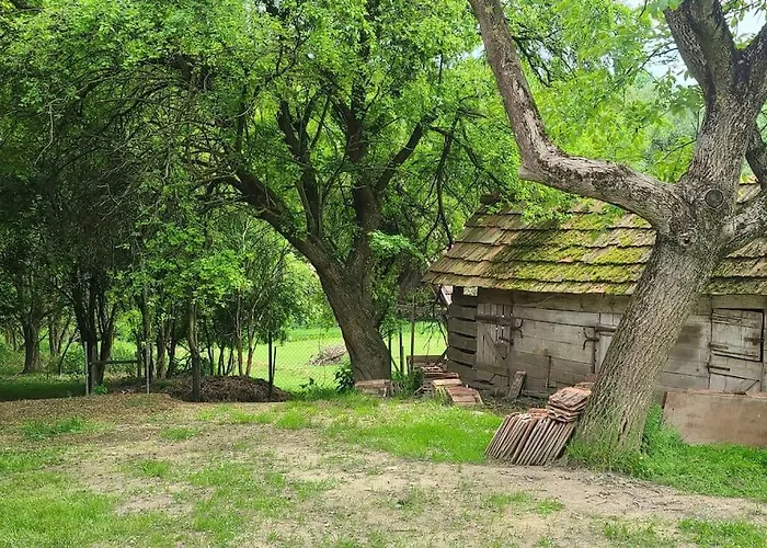 ötbárány Bezered